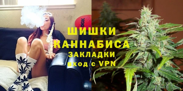 дурь Надым