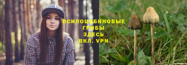 гидропоника Нея