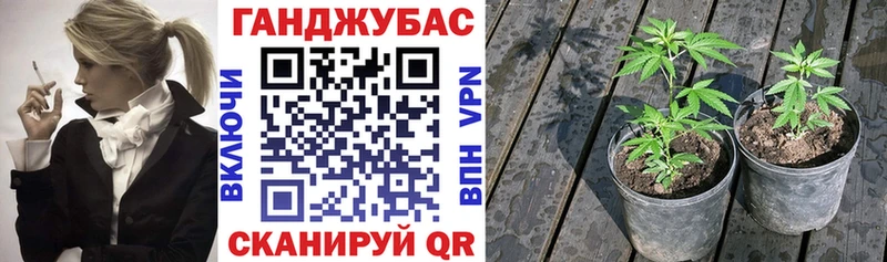 цена наркотик  Рыбное  Бошки марихуана план 